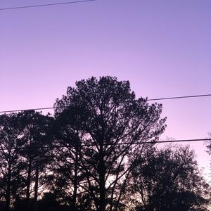 Meet your Posher, Sharai